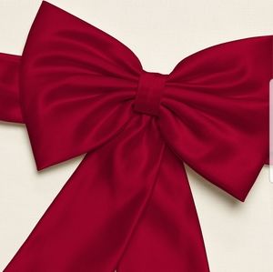 David's bridal Apple flowergirl sash